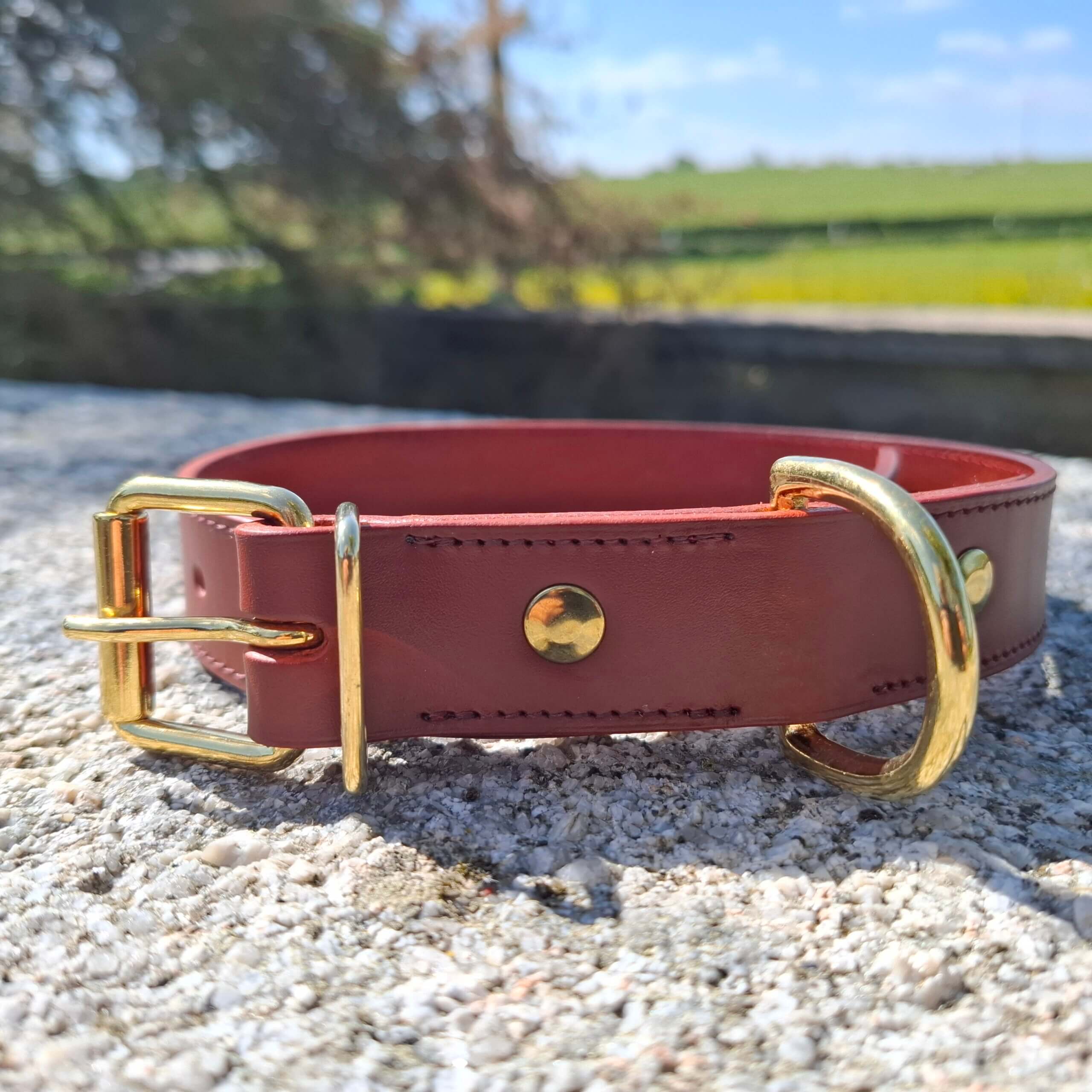 détails collier chien
