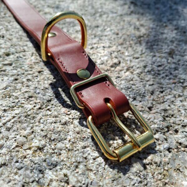 collier pour chien en cuir