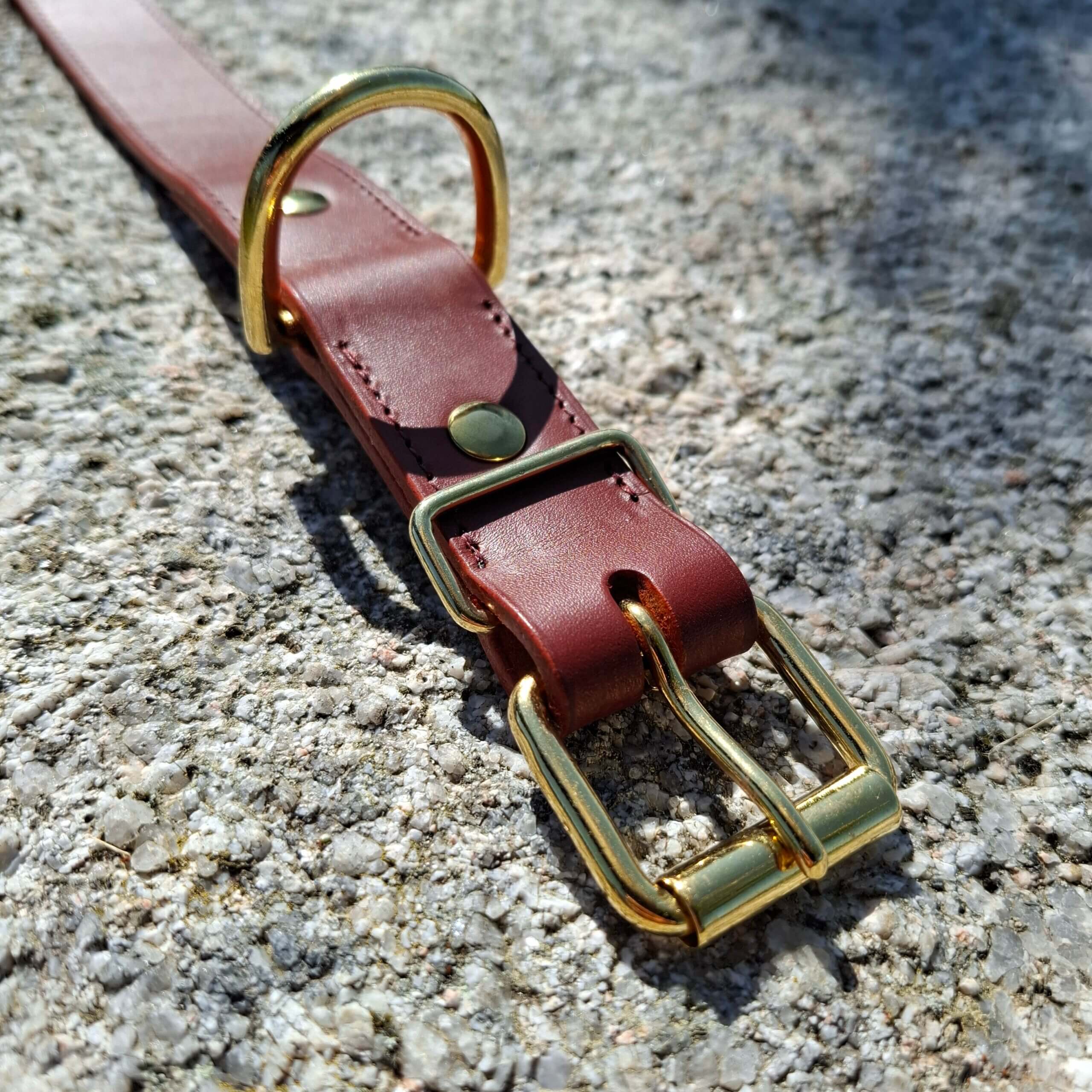 collier pour chien en cuir